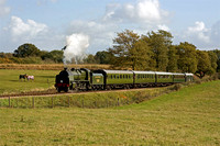 Bluebell Railway Giants of Steam 2009
