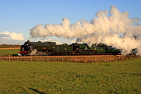 Bluebell Railway Giants of Steam 2010