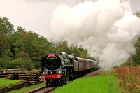 Mainline Steam Railtour to Bluebell