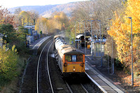 241120-1416-73107-73213-3W91-Dorking-West
