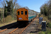 250405-1112-1001-1013-1Z49-Dorking-Deepdene